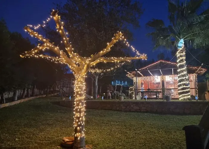 ξύλινο κτήμα παππά Σαλέ *