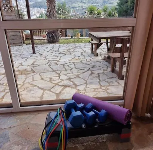 Σαλέ ξύλινο κτήμα παππά